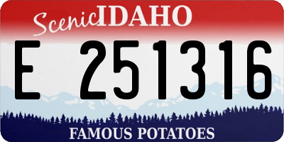 ID license plate E251316