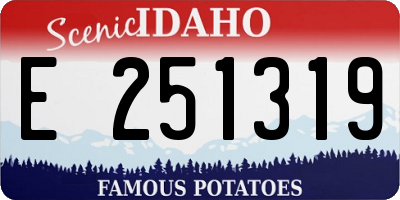 ID license plate E251319