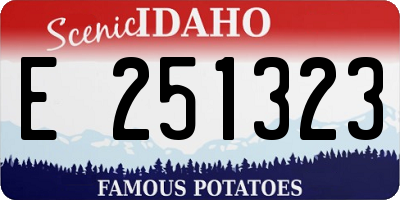 ID license plate E251323