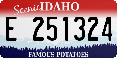 ID license plate E251324