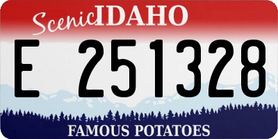 ID license plate E251328