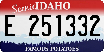 ID license plate E251332