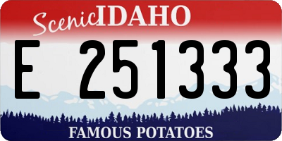 ID license plate E251333