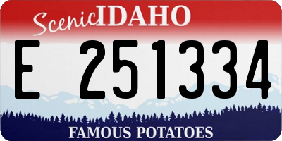 ID license plate E251334