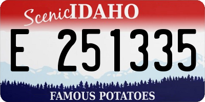 ID license plate E251335