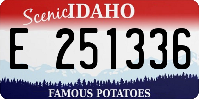 ID license plate E251336