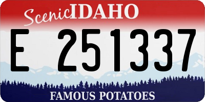 ID license plate E251337