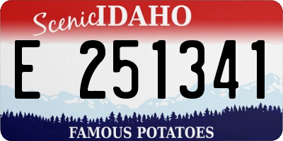 ID license plate E251341