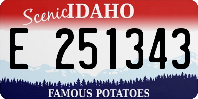ID license plate E251343