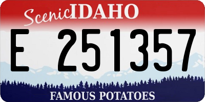 ID license plate E251357