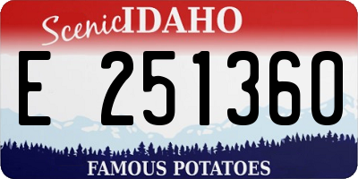 ID license plate E251360