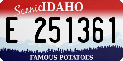 ID license plate E251361