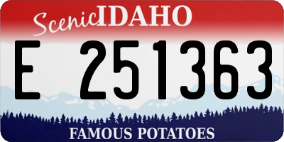 ID license plate E251363