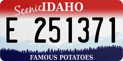 ID license plate E251371