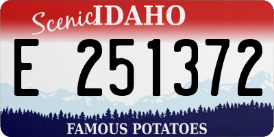 ID license plate E251372