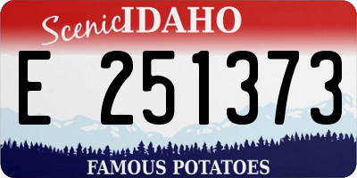 ID license plate E251373