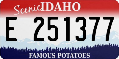 ID license plate E251377