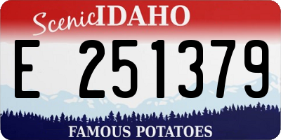 ID license plate E251379