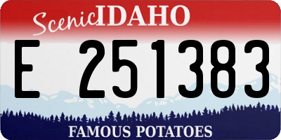 ID license plate E251383