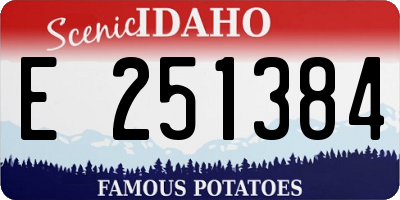 ID license plate E251384