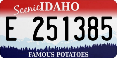 ID license plate E251385