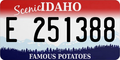 ID license plate E251388