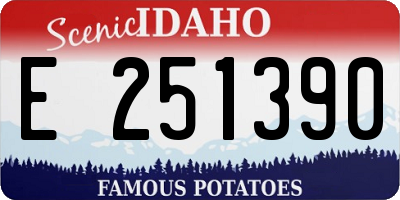 ID license plate E251390