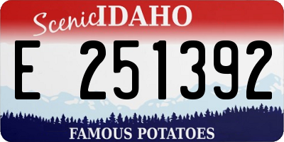 ID license plate E251392