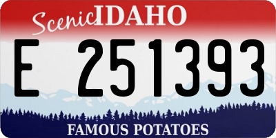 ID license plate E251393