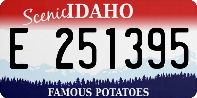 ID license plate E251395