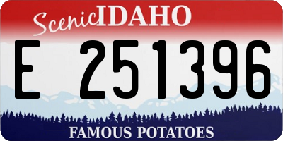 ID license plate E251396