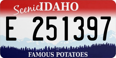 ID license plate E251397
