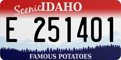 ID license plate E251401