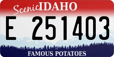 ID license plate E251403