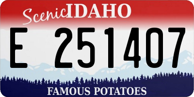 ID license plate E251407