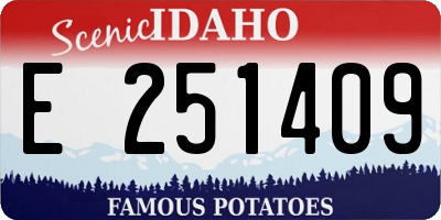 ID license plate E251409