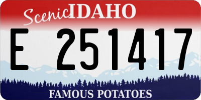 ID license plate E251417