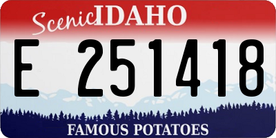 ID license plate E251418