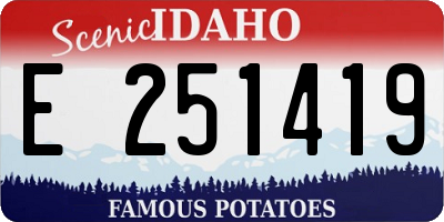 ID license plate E251419