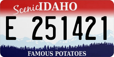 ID license plate E251421