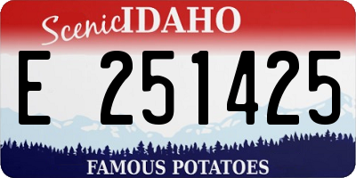ID license plate E251425