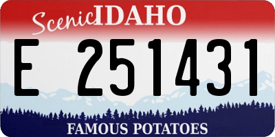 ID license plate E251431