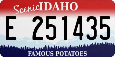 ID license plate E251435