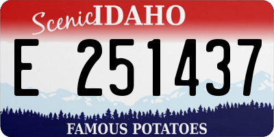 ID license plate E251437