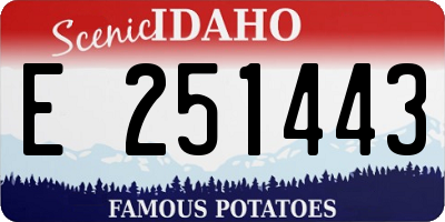 ID license plate E251443