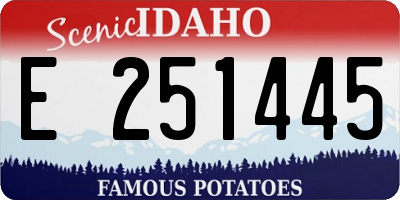 ID license plate E251445