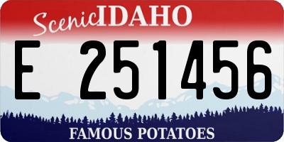 ID license plate E251456