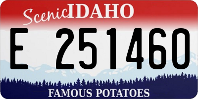 ID license plate E251460