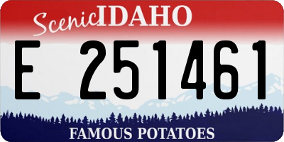 ID license plate E251461