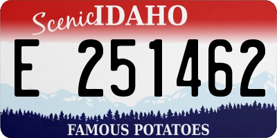 ID license plate E251462